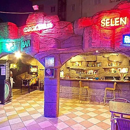 فندق سيلين 2*