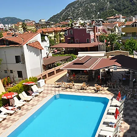 Selen 2*
